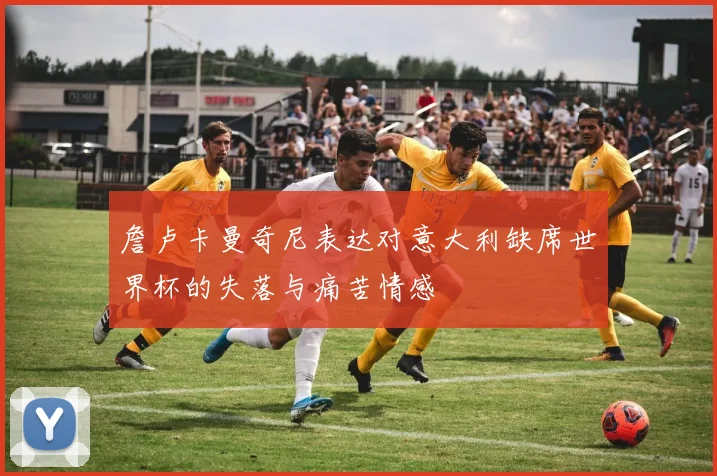 詹卢卡曼奇尼表达对意大利缺席世界杯的失落与痛苦情感