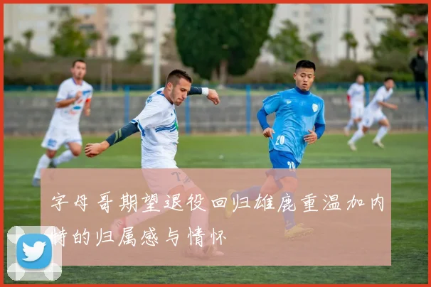 字母哥期望退役回归雄鹿重温加内特的归属感与情怀